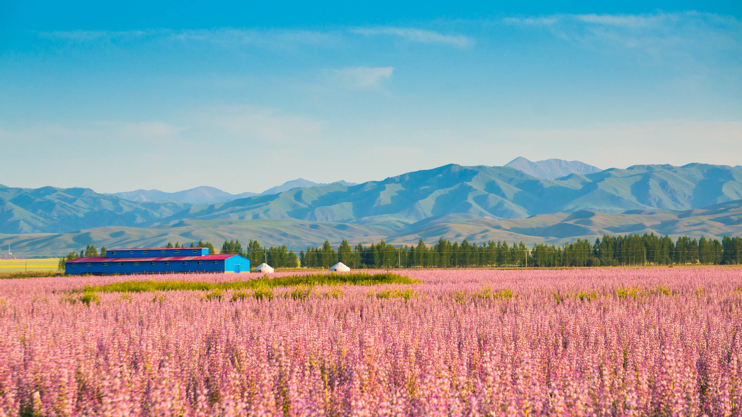 北疆大環線 夏季新疆最美自駕路線，一覽北疆絕色風光